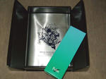071022_FF7_2.JPG