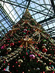 071220_1.JPG