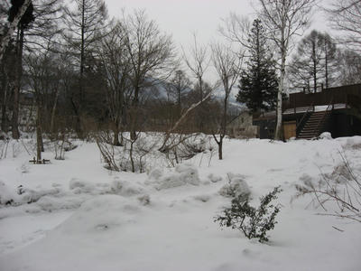 雪景色