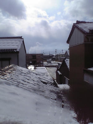 元旦