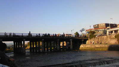 鴨川２