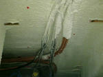 SN3D00110001.jpg