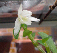 2f426794.gif