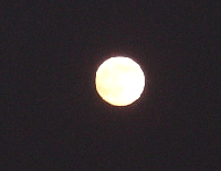385df464.gif