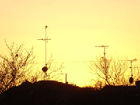 1046d56c.gif