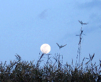 d01a9679.gif