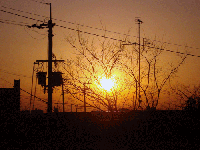df6c9924.gif