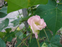 d823d618.JPG