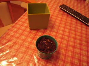DSCN0282.JPG