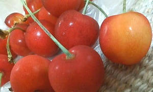 20080624103626.jpg