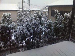 D1000067.jpg