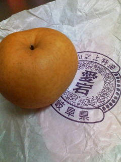 20101226125751.jpg