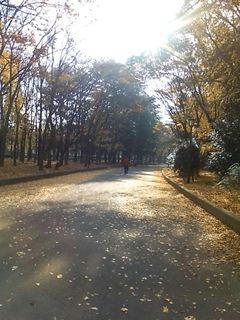 D1002849_R.JPG