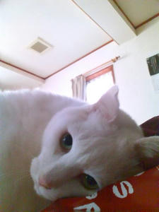 D1002871.JPG