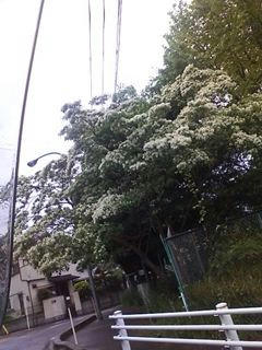 D1003207_R.JPG