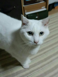 473585995443.jpg