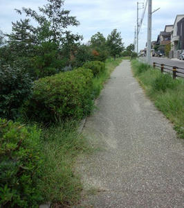 IMG_20120929_124418_R.jpg