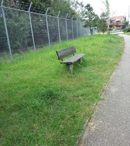 IMG_20120929_124607_R.jpg