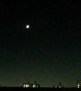 IMG_20121020_085058.jpg