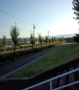 IMG_20121021_071535_R.jpg
