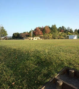 IMG_20121021_071940_R.jpg