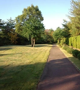 IMG_20121021_072650_R.jpg
