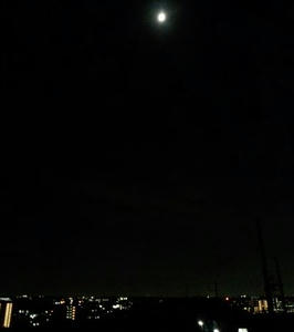IMG_20121024_201852_R.jpg