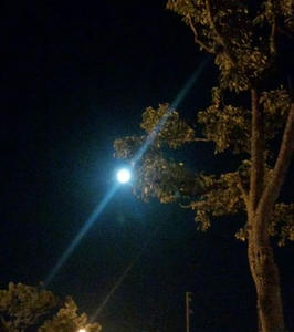 IMG_20121029_181608_R.jpg