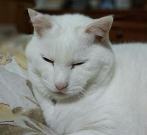 IMG_20121117_004652_R.jpg