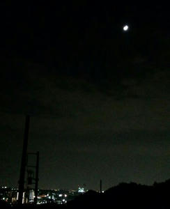 IMG_20121119_193536_R.jpg