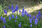 IMG_4032.JPG