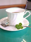 72300b31.jpg