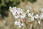 201140005.JPG