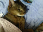 TS3N0009.jpg