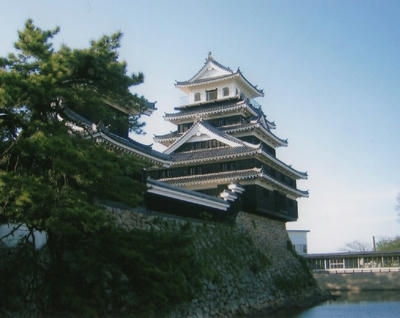 6e335d38.jpg