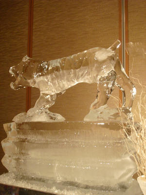 DSC04980.JPG