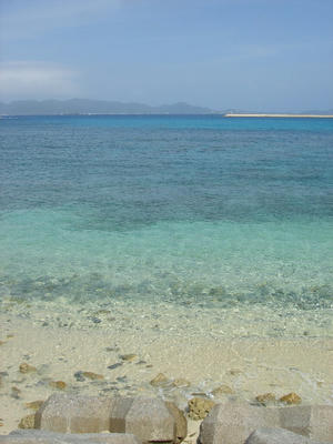 DSC05155.JPG