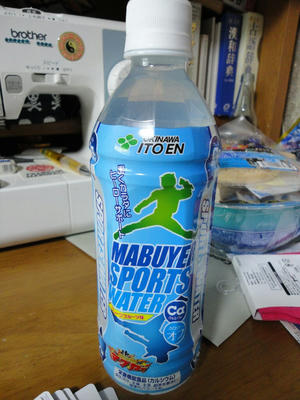 DSC05250.JPG