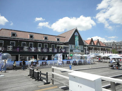 DSC05884.JPG