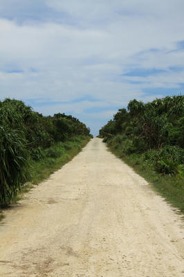 02a2a36e.jpg