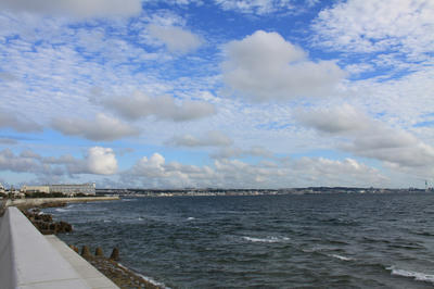59d7f65b.jpg