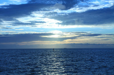 d806d47b.jpg