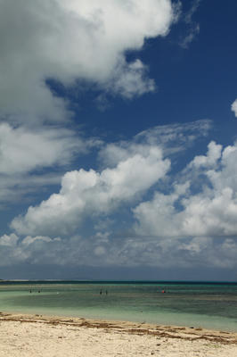 1d1b6641.jpg