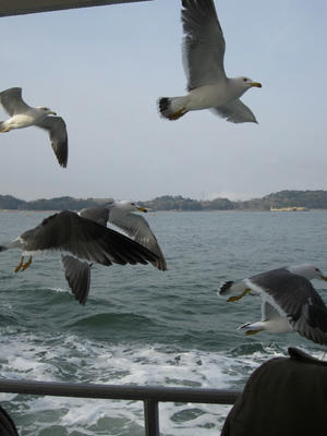 IMG_0679.JPG