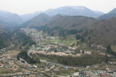 IMG_3463.JPG