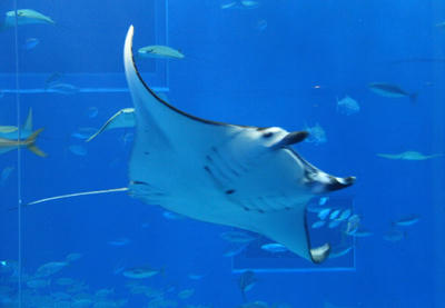 IMG_4621.JPG