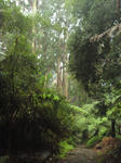DSC00840a.jpg