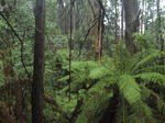 DSC00843ajpg.jpg