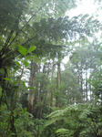 DSC00851a.jpg
