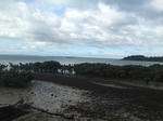 Jacks Beach